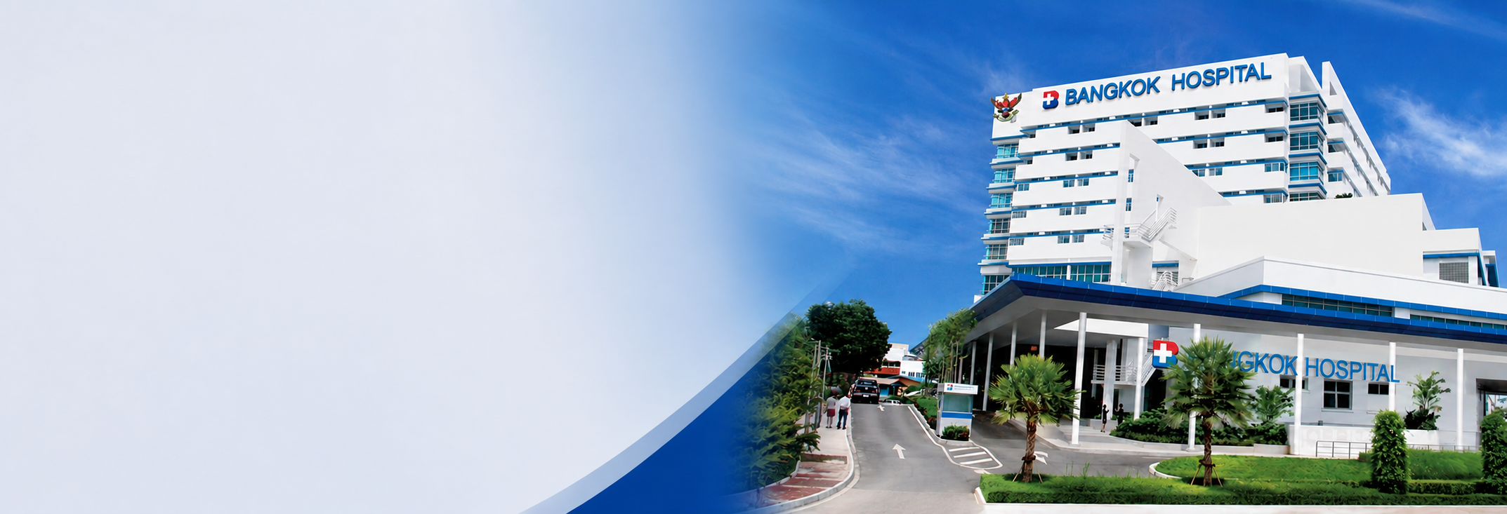 Bangkok Hospital Project
